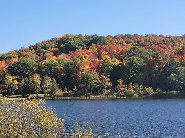 Ellsworth Community Park - Image 1