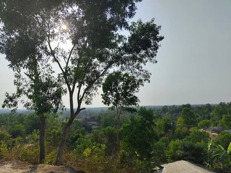 পূর্ব রুহুল্লার ডেইল বটগাছ - Image 2