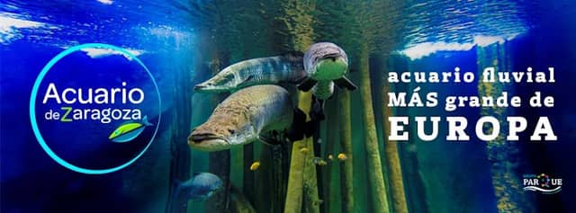 Aquarium River of Zaragoza - Image 1