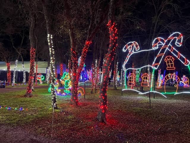 Prairie Lights - Image 2