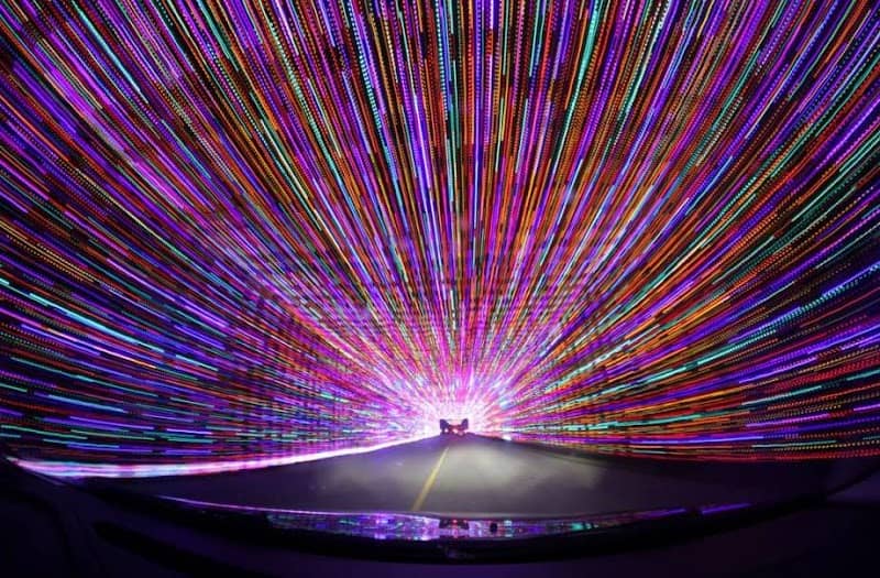 Prairie Lights - Image 1