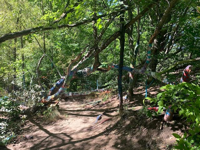 Hippie Tree - Image 2