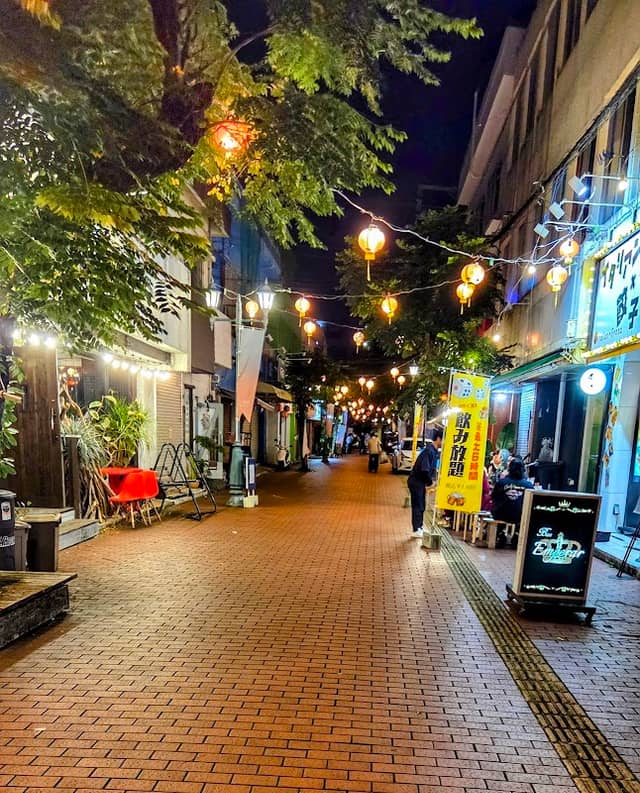 Palmyra Street - Image 2
