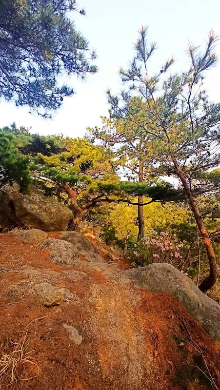 남목마성 - Image 1