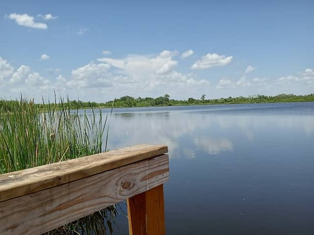 Lake Pansy Boat Ramp - Image 1