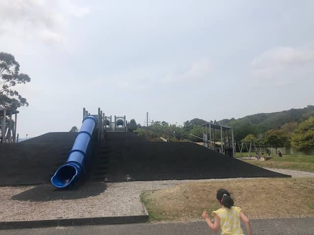 Maidstone Park - Image 1
