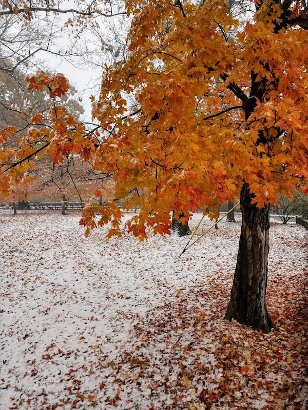 Mount Sequoyah Gardens - Image 1