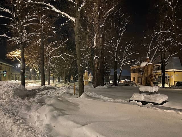 Mestský park - Image 1