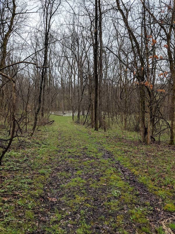 Delaware Camp - Image 1