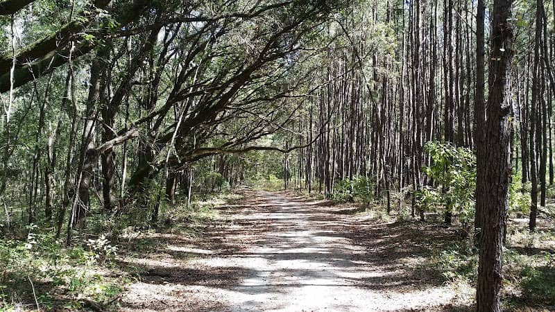 Miccosukee Greenway, continued - Image 1