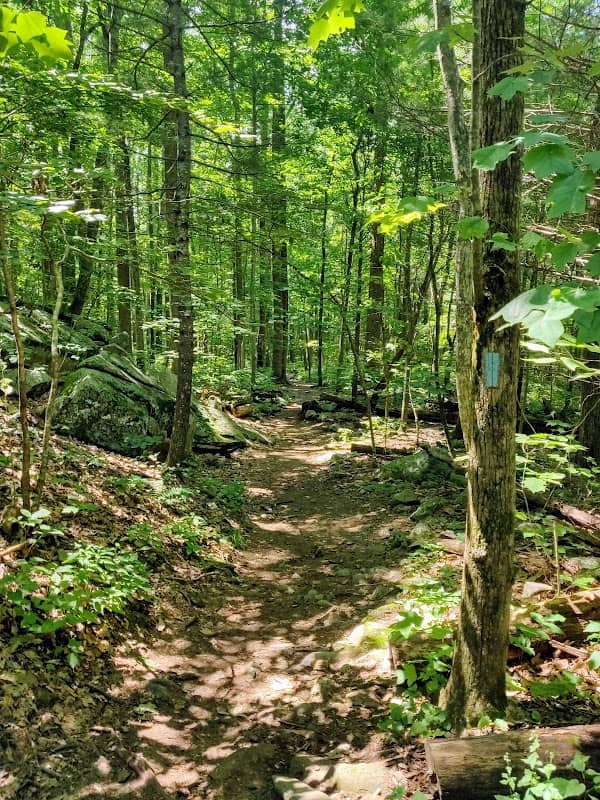Lower Whiteoak Canyon Parking Lot - Image 1
