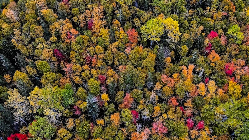 Keppoch Mountain - Image 2