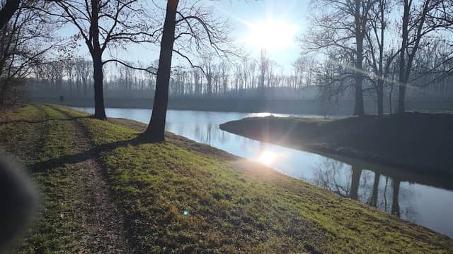 Soutok Morava a Rusava - Image 2