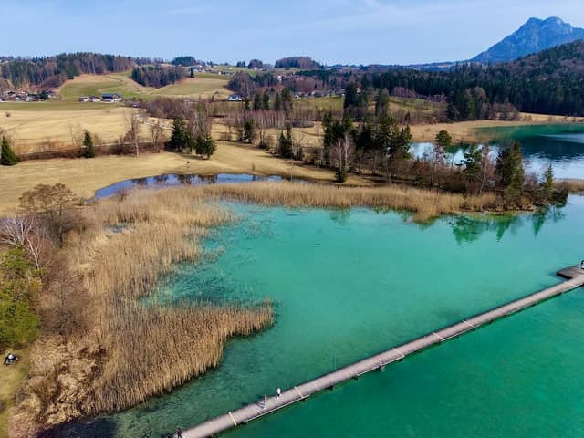 Naturschutzgebiet Fuschlsee - Image 1