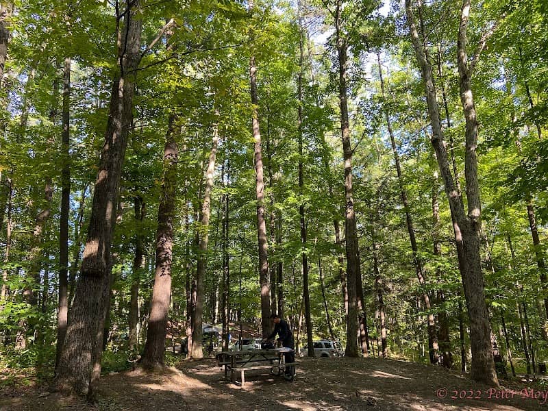 Max V. Shaul State Park - Image 2