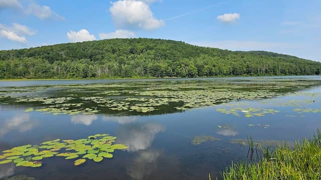 Franklinton Vlaie Wildlife Management Area - Image 2