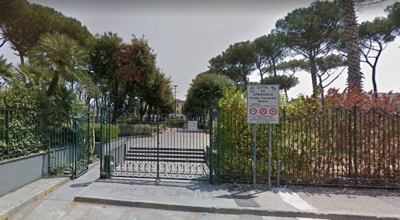 Pineta Comunale - Image 2