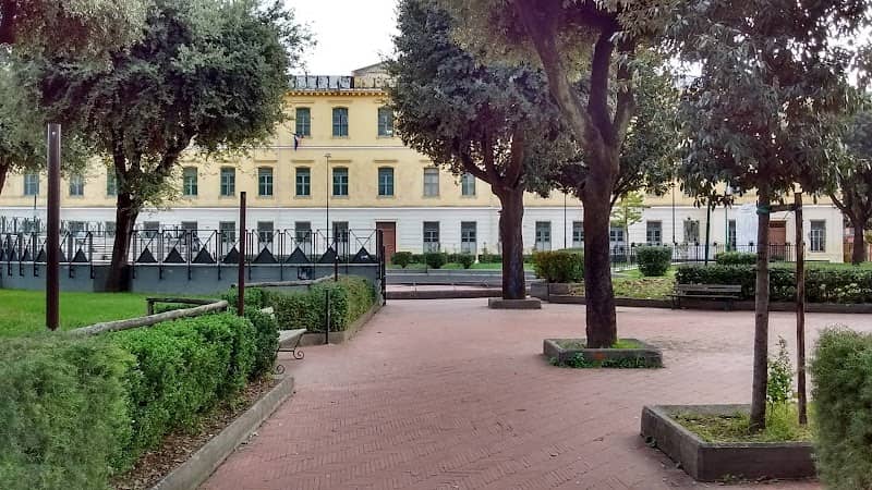 Pineta Comunale - Image 1