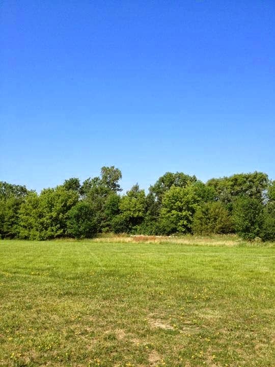 Meadow Park - Image 2