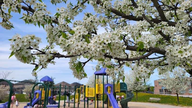 Summerset Park - Image 1