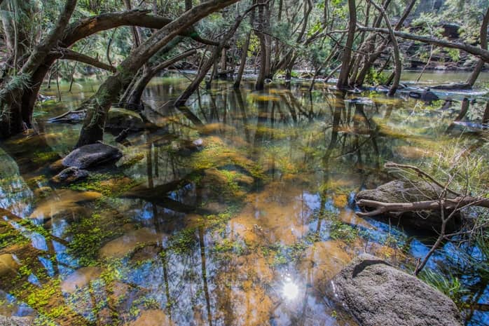Nepean River Reserve - Image 1