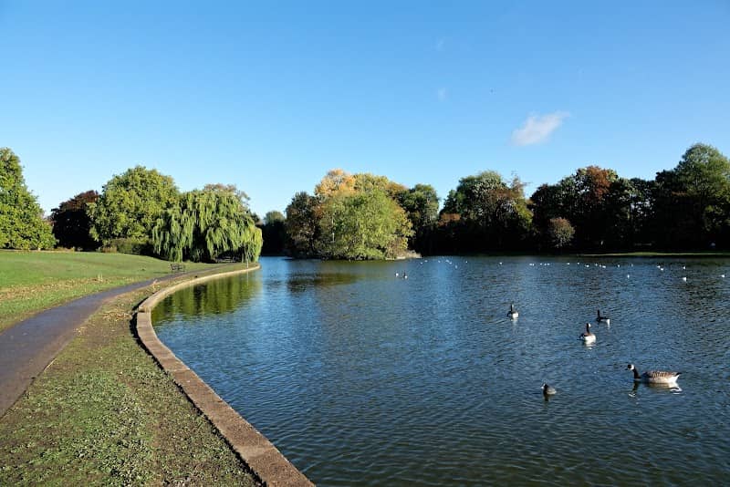 Verulamium Lake - Image 1