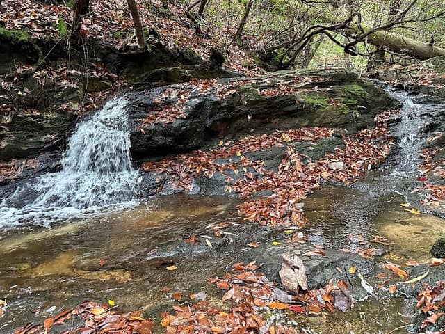 Cascade Falls - Image 1