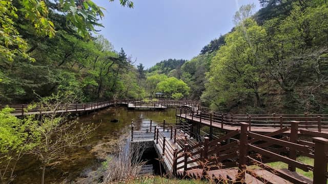 송정박상진호수공원 - Image 2