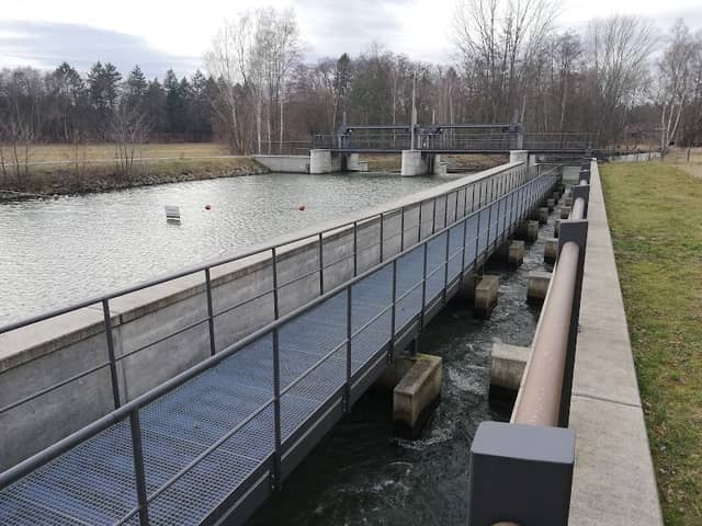 Spree - Image 1