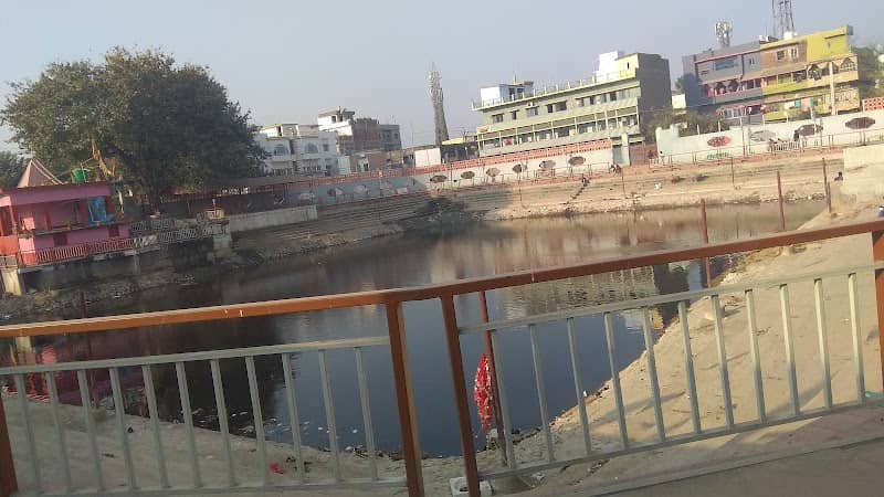 Tikulipar pond - Image 1