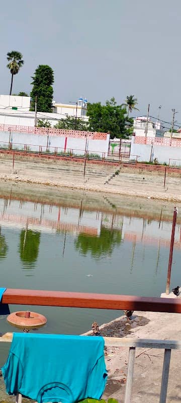 Tikulipar pond - Image 2