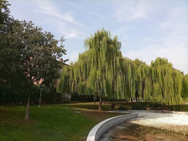 Villaggio Fotovoltaico Quartiere Cristo Alessandria - Image 2