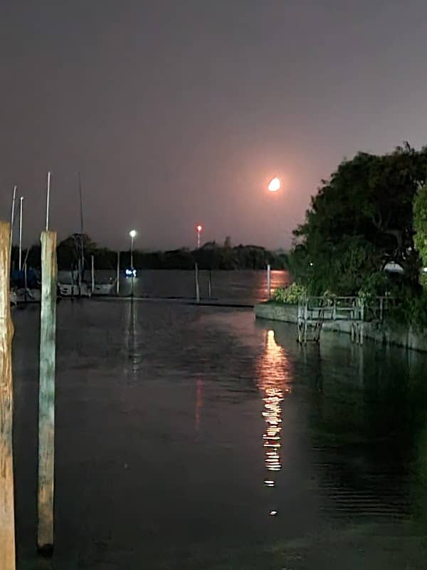 BAHIA DEL ESTE - Image 1