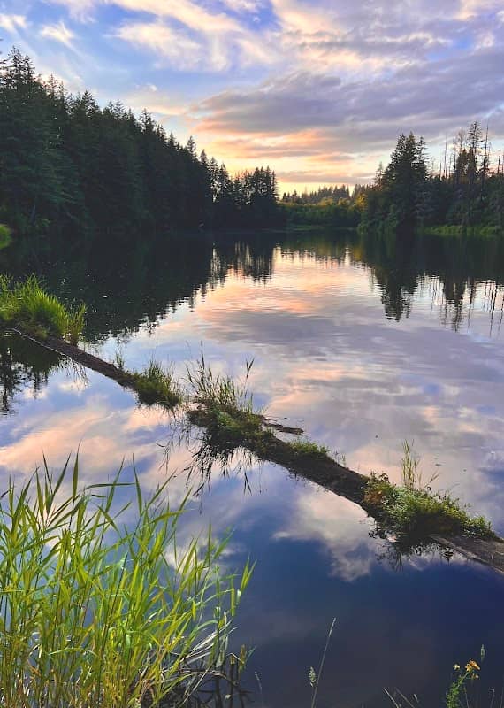 Lacamas Lake - Image 2