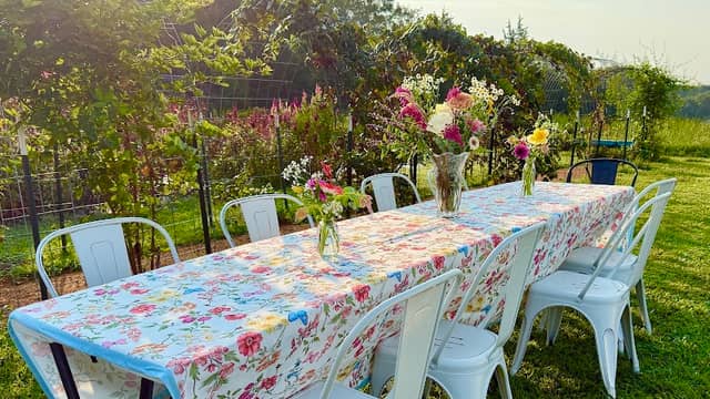 Springer Gardens Flower Farm - Image 2