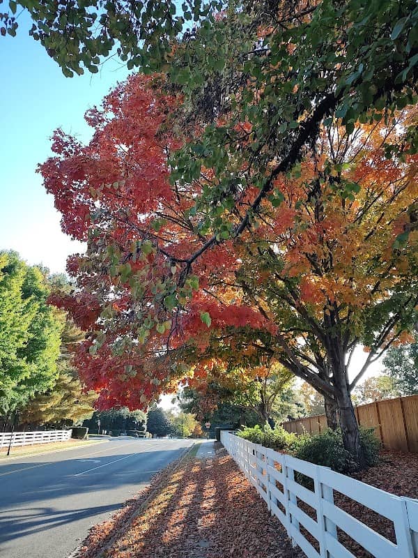 Lexington Park - Image 1