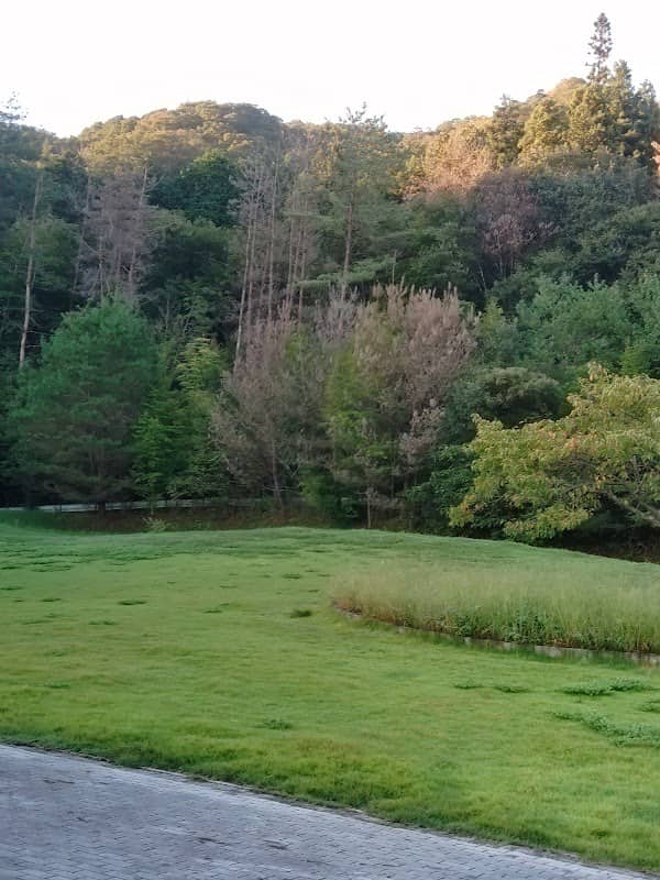 Onuma - Image 1