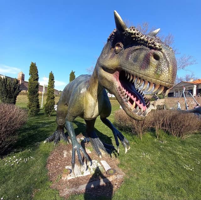 Dino Park "Jura Avantura" - Image 2