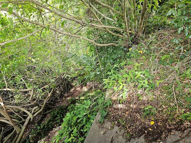 Nature Park - Image 1