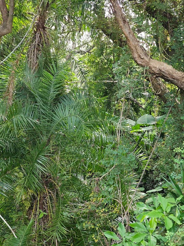 Nature Park - Image 2