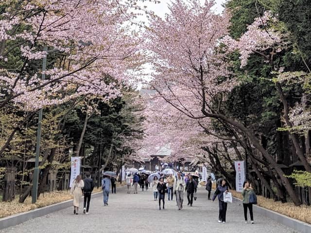 Maruyama Park - Image 1