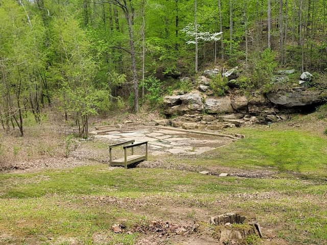 Mustering Elm Park - Image 2