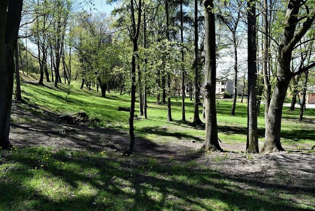 Park na Malej Hore - Image 1