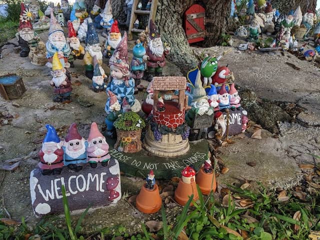 The Holly Hill Gnome Tree - Image 2