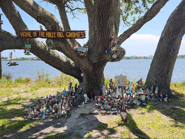 The Holly Hill Gnome Tree - Image 1