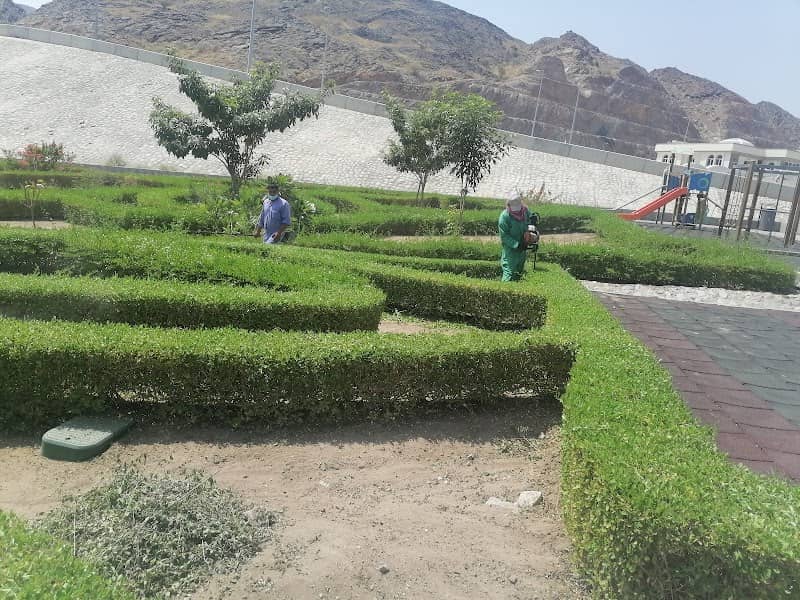 Park - Image 1