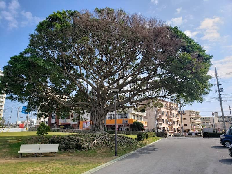 Hiyaragawa Park - Image 3