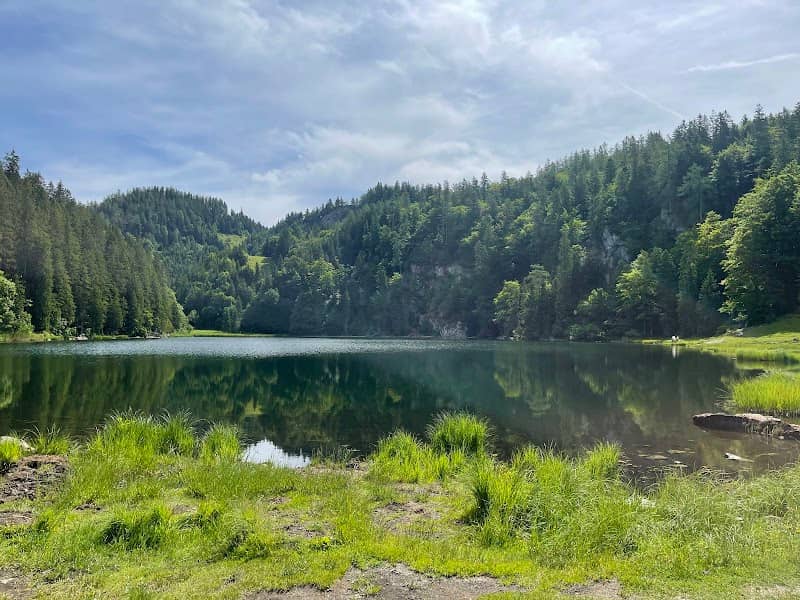 Taubensee - Image 1