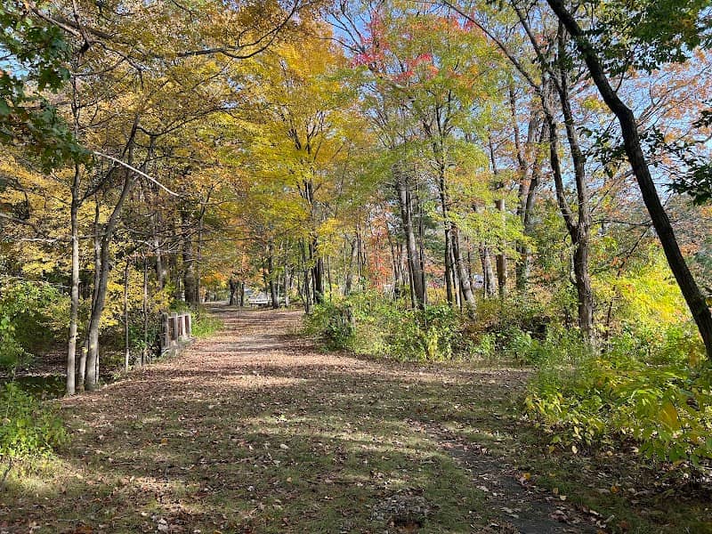 Simpson Park - Image 2
