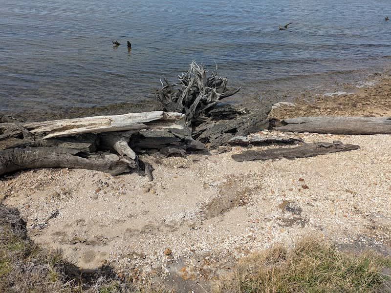 Swan Reach Bay Gippsland Lakes Reserve - Image 1